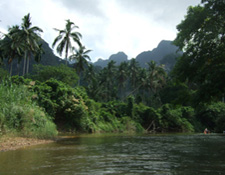 Indochina, Thailand: Metropolen, Dschungel und Palmenstrnde - Dschungellandschaft im Khao Sok Nationalpark 