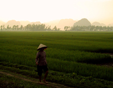 Indochina, Vietnam: Von den Bergstmmen bis zum Mekongdelta - Ninh Binh Buerin